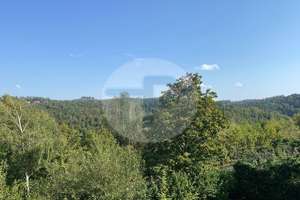 AUSSICHTSREICHES EINFAMILIENHAUS
MIT EINLIEGERWOHNUNG
 – Die vollständige Adresse der Immobilie erhältst du vom Anbieter., 94169 Thurmansbang – Vorschaubild 7