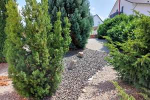 Freistehendes Einfamilienhaus mit Garten, Garage und Carport – Die vollständige Adresse der Immobilie erhältst du vom Anbieter., 55627 Merxheim – Vorschaubild 3