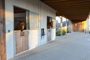 moderne Reitanlage vor den Toren Münsters – Die vollständige Adresse der Immobilie erhältst du vom Anbieter., 48317 Drensteinfurt – Vorschaubild 14