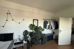 Property thumbnail 9