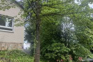 Bestlage! Hier sind Sie gefragt!  2 Familienhaus zum Sanieren oder Abriss – Die vollständige Adresse der Immobilie erhältst du vom Anbieter., 65193 Nordost, Wiesbaden – Vorschaubild 27