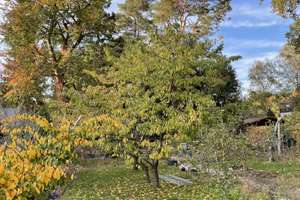 Property thumbnail 16