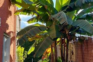 Freistehendes EFH im Toskanastil mit Garten & Werkstatt – von privat, keine Maklerkosten – Die vollständige Adresse der Immobilie erhältst du vom Anbieter., 76307 Karlsbad – Vorschaubild 14