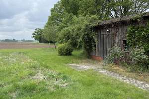 Ferienhaus mit Dauerwohnsitz – solides Landhaus im Grünen – Die vollständige Adresse der Immobilie erhältst du vom Anbieter., 49596 Gehrde – Vorschaubild 6