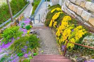 Stilvolle Villa mit Gartenparadies am Südhang über den Dächern von Altbach ! – Esslingen (Kreis) – Vorschaubild 5