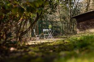 „Wo Kindheit Wurzeln schlug – und Zukunft wachsen kann.“    Familienidyll am Hahnenberg in Odenthal. – Die vollständige Adresse der Immobilie erhältst du vom Anbieter., 51519 Odenthal – Vorschaubild 3