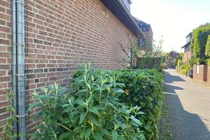 Gepflegtes Einfamilienhaus (Winkelhaus) mit PV-Anlage und Garage in Meerbusch-Osterath – Die vollständige Adresse der Immobilie erhältst du vom Anbieter., 40670 Meerbusch – Vorschaubild 5