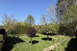 Raumwunder mit Garten – für Familie, Hobby und Hund *** WohnTraumVermittlung.com – Laubusstraße 50, 65606 Limburg-Weilburg (Kreis) – Vorschaubild 26