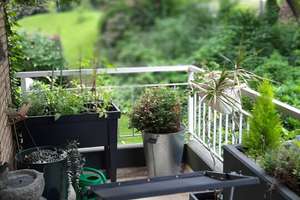 Exklusives Wohnen im Grünen - ETW mit Balkon – Die vollständige Adresse der Immobilie erhältst du vom Anbieter., 21465 Wentorf bei Hamburg – Vorschaubild 18