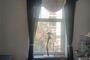 Helle 2,5 Zimmer Wohnung im beliebten Östl. Ringgebiet – Thielemannstraße 4, 38104 Östliches Ringgebiet, Braunschweig – Vorschaubild 3