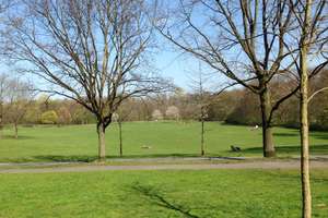 Property thumbnail 3