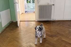 Property thumbnail 10