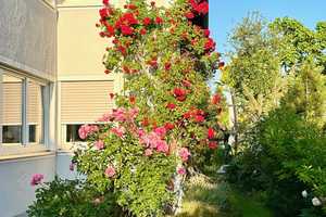 **Exklusives Mehrfamilienhaus mit Photovoltaikanlage - großer Garten und idyllischer Pool!!** – München – Vorschaubild 16