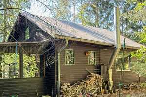 Draußen im Walde... idyllisch gelegenes Holzhaus auf 3.549 m² Waldgrundstück – Uelzen (Kreis) – Vorschaubild 22