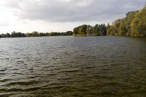 Wochenendhaus mit Garten und Steg                                         am Ufer des Glindower Sees – Am Riegelberg 32, 14542 Werder (Havel) – Vorschaubild 4