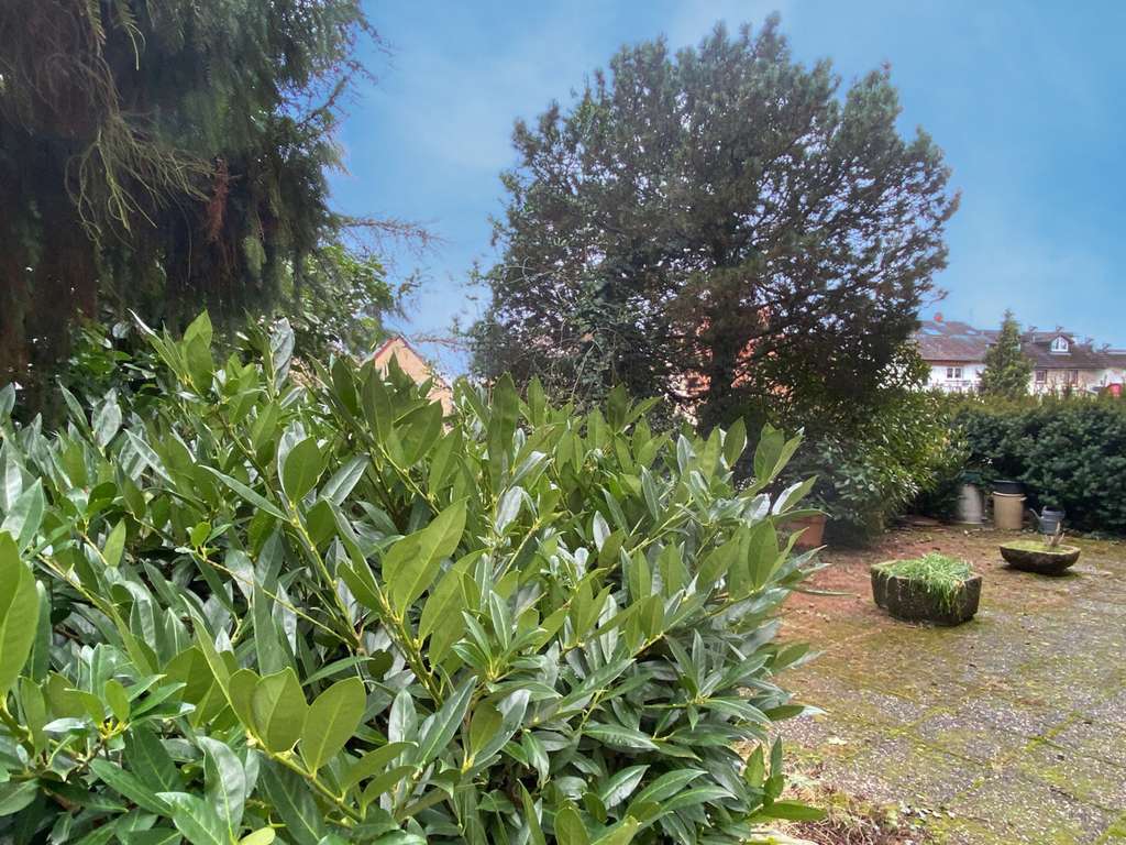 Immobilie in Wiesloch - Großzügige Doppelhaushälfte in ruhiger Wohnlage - Bild 3