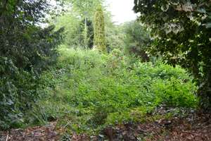 Reihenendhaus mit großem  Garten in 40593 Düsseldorf-Urdenbach! – Südallee 3, 40593 Urdenbach, Düsseldorf – Vorschaubild 4