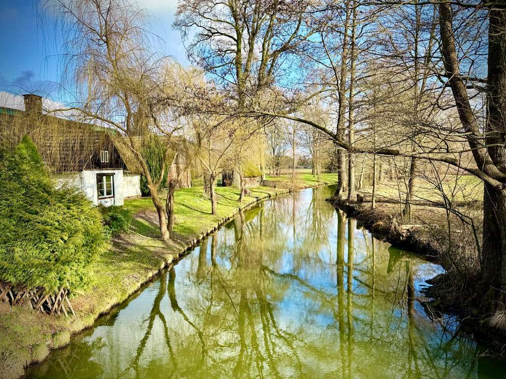 Immobilie in Burg (Spreewald) - Exklusives Wassergrundstück im Spreewald am Hauptfließ - Bild 3