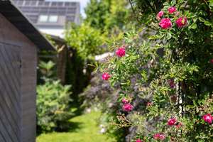 Licht, Raum und Lebensqualität – besondere Doppelhaushälfte mit Atelier und Gartenidylle – Die vollständige Adresse der Immobilie erhältst du vom Anbieter., 51067 Holweide, Köln – Vorschaubild 19