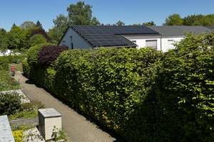 BONN-HEIDERHOF, Reihenhaus in toller Lage, 6 Zi., ca. 130 m² WNfl, Garten, Garage Keller 282 m² Grst – Die vollständige Adresse der Immobilie erhältst du vom Anbieter., 53177 Heiderhof, Bonn – Vorschaubild 36