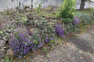 Einfamilienhaus mit großem Garten – Die vollständige Adresse der Immobilie erhältst du vom Anbieter., 55126 Finthen, Mainz – Vorschaubild 2