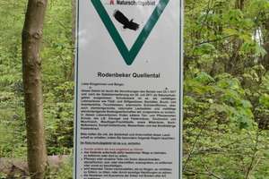 Modernes Wohnen am Alsterlauf. – Die vollständige Adresse der Immobilie erhältst du vom Anbieter., 22397 Lemsahl-Mellingstedt, Hamburg – Vorschaubild 10