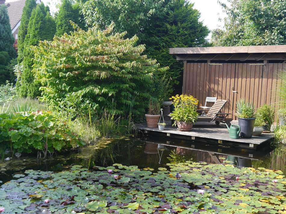 Steg am Gartenteich