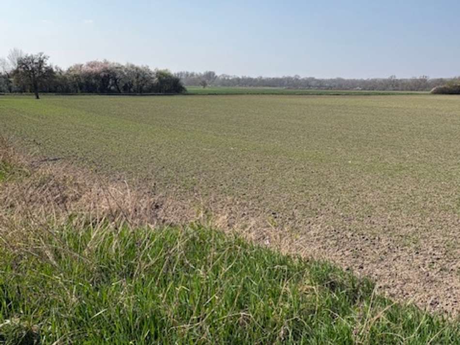 Blick ins Naturschutzgebiet