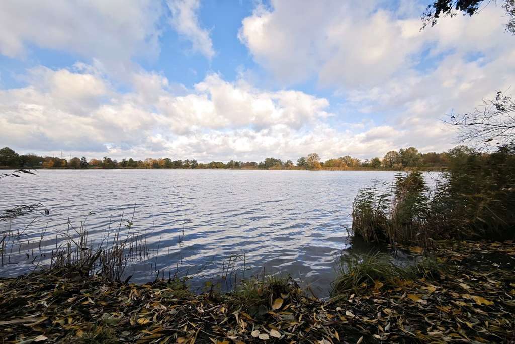 Ideal für Singles, Paare oder Kapitalanleger - 2-Zi.-ETW in WOB