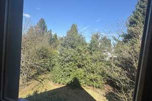 Doppelhaushälfte mit großem Garten – Stormarn (Kreis) – Vorschaubild 44