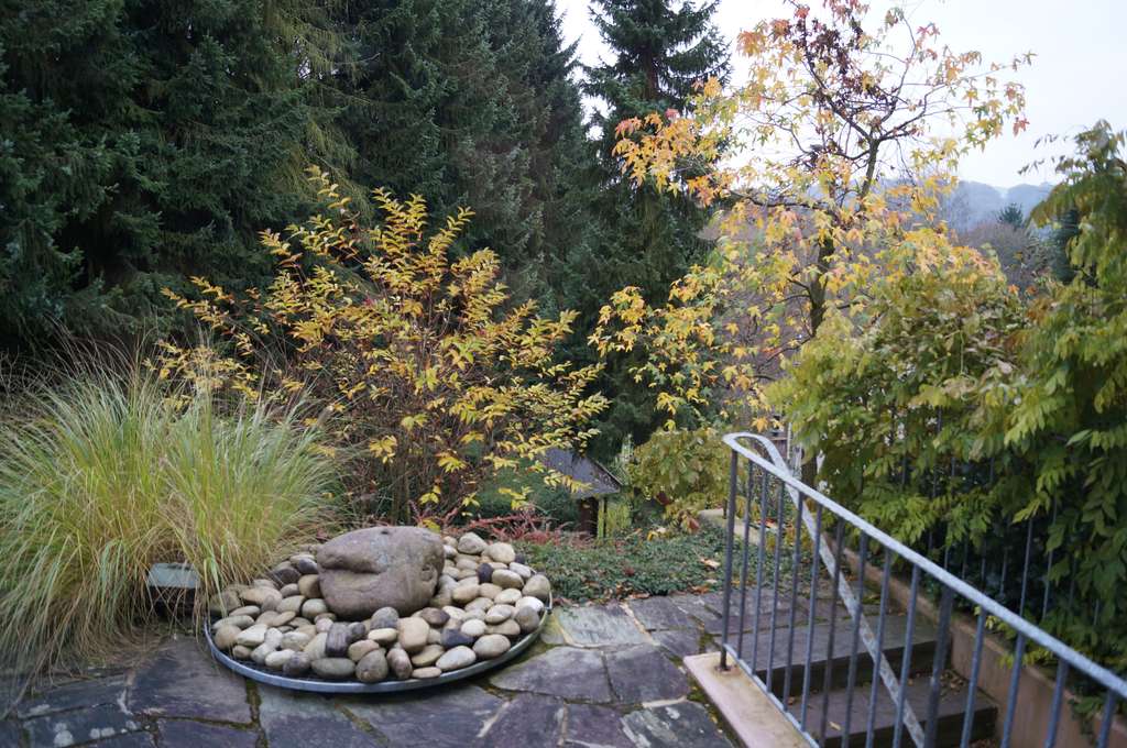 Immobilie in Lohmar - PROVISIONSFREI vom Eigentümer  Doppelhaushälfte mit Blick ins Grüne  - Bild 2