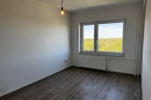 Wir geben Ihnen ein Zuhause. – Hamburger Str. 74, 38112 Nordstadt, Braunschweig – Vorschaubild 4