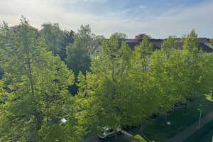Studentenwohnung zu vermieten - Braunschweig / Spinnerstr. 38 – Spinnerstr. 38, 38114 Westliches Ringgebiet, Braunschweig – Vorschaubild 4