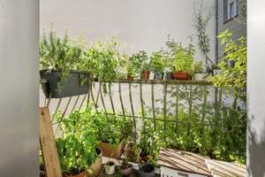 Property thumbnail 8