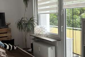 Kompaktes 1-Zimmer-Apartment in Mannheim-Lindenhof – Eichelsheimer Straße 40, 68163 Lindenhof, Mannheim – Vorschaubild 5