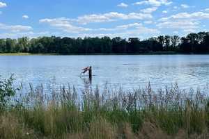 Sommerhaus am See - 60 Minuten von Berlin – Teltow-Fläming (Kreis) – Vorschaubild 1