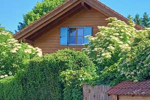 Landhaus im Fischbachtal