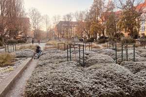 Property thumbnail 23