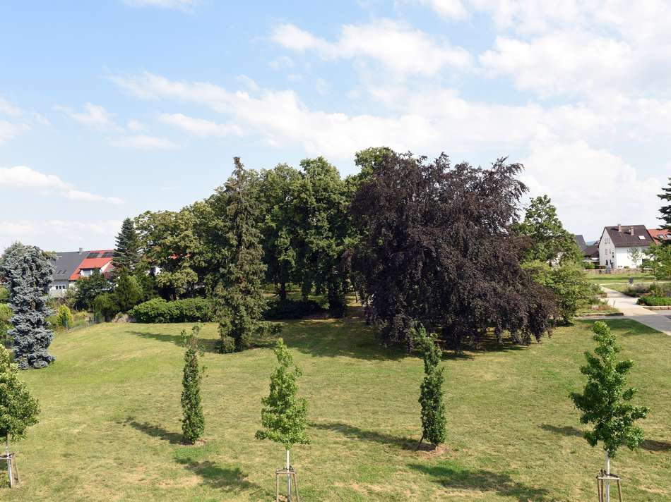 Blick zum Park