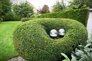 Property thumbnail 5