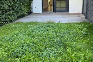 Wohnung mit eigenem Garten und EBK  im Grafental – 40235 Flingern Nord, Düsseldorf – Vorschaubild 11