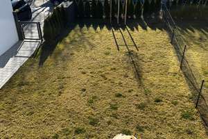 Ein Platz für die ganze Familie auf über 250 m² mit großem Garten – 81929 Johanneskirchen, München – Vorschaubild 6