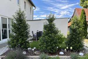 Renovierte Doppelhaushälfte am Buchhorner See - Ihr neues Zuhause wartet! – Hohenlohekreis – Vorschaubild 4