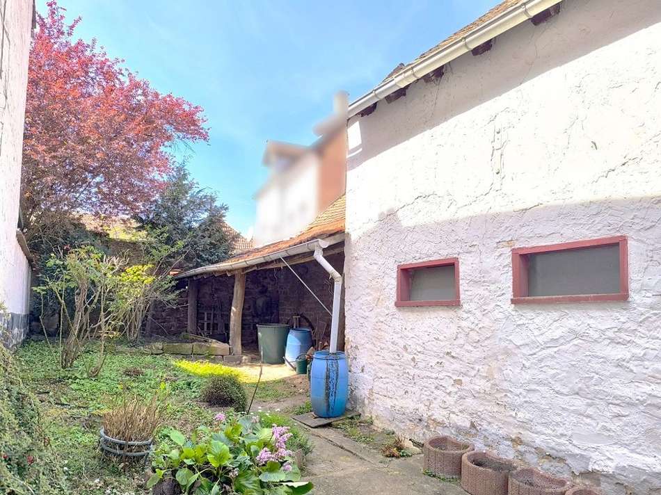 Rückseite mit Gartenansicht