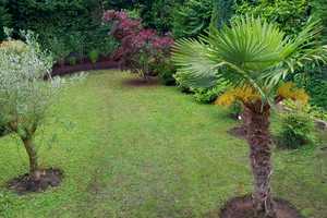 Property thumbnail 4