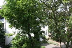 2-Zimmer Wohnung Stadtfeld-Ost / in der Nähe v. Schellheimerplatz u. Uni Magdeburg – Magdeburg – Vorschaubild 8