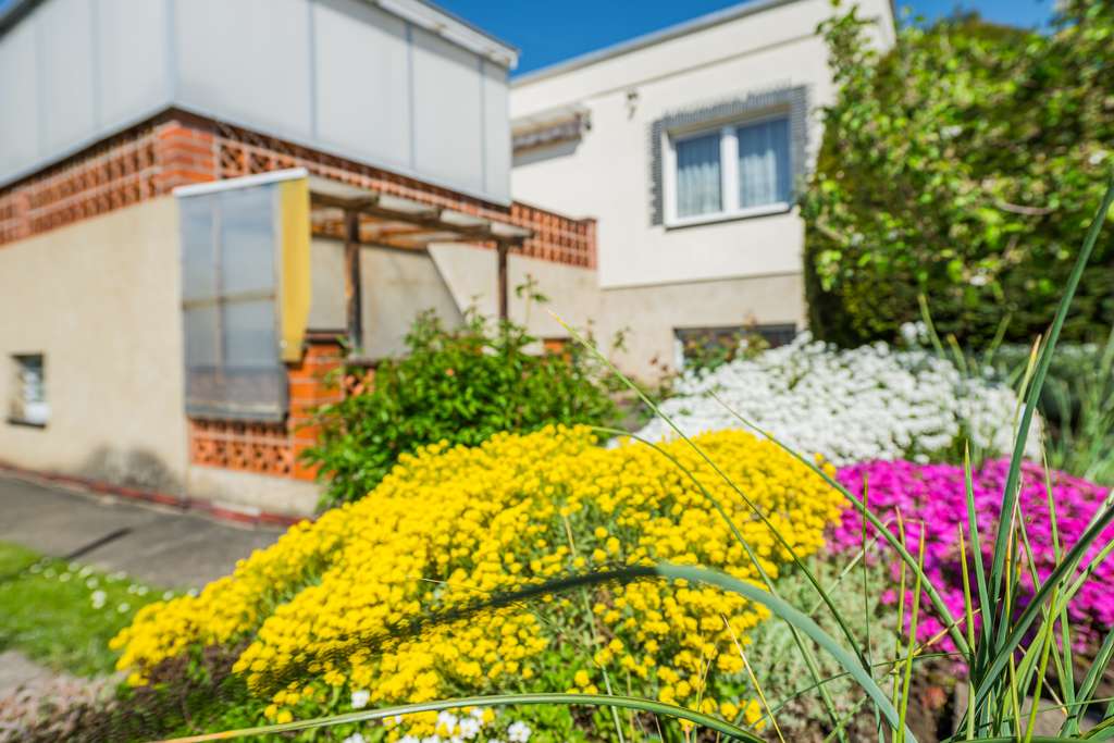 Großzügig, solide und mit tollem Garten in der begehrten Frohen Zukunft