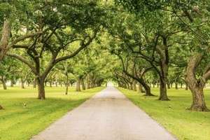 Property thumbnail 19