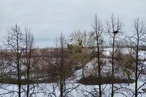 ! Ihre Schlüssel zum Glück, warten auf Sie! – Am Seeufer 4, 39126 Neustädter See, Magdeburg – Vorschaubild 9