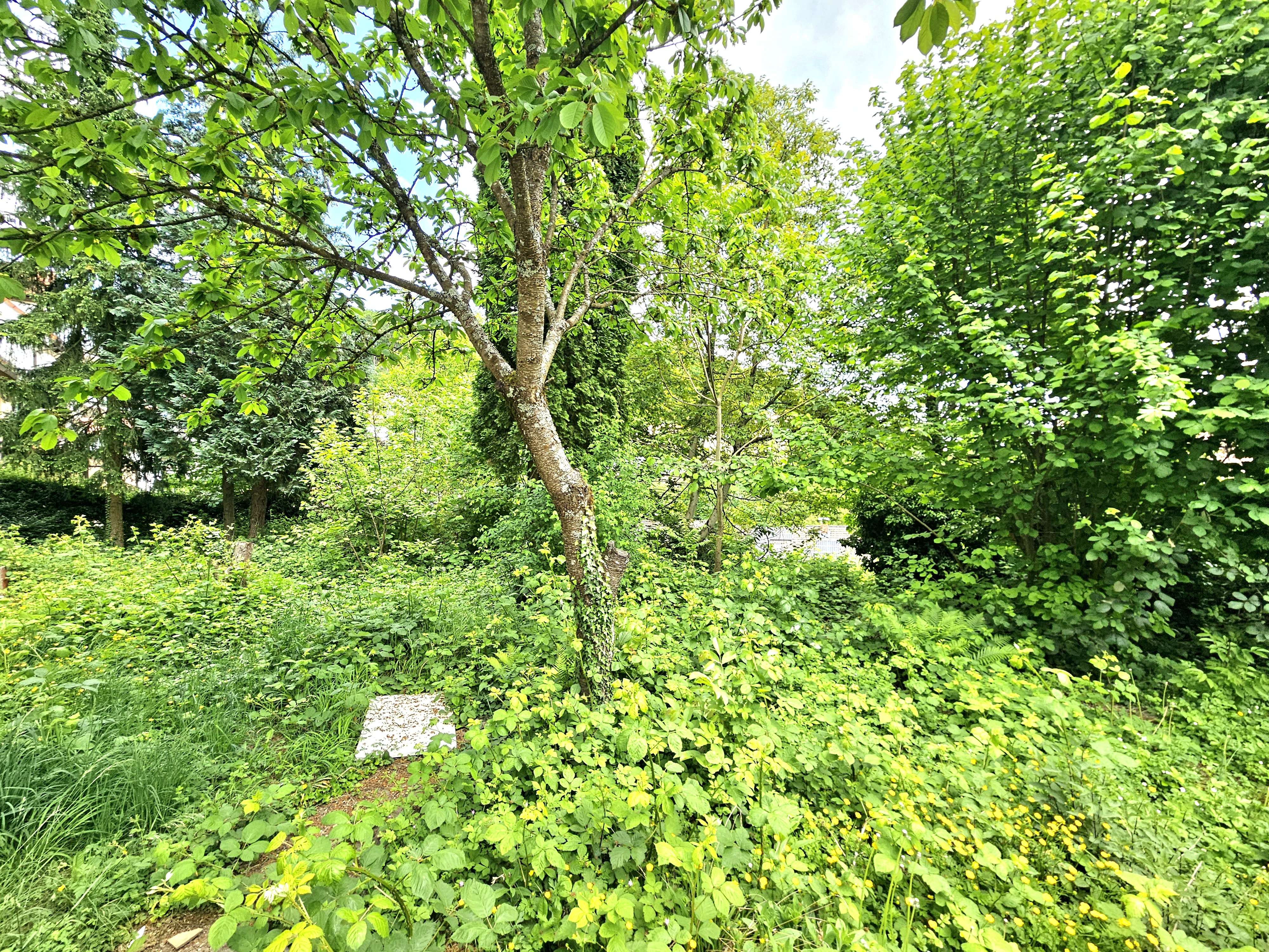 6-Parteienhaus mit 11% Bruttomietrendite zu verkaufen, Bergstraße Kreis – Bild 4